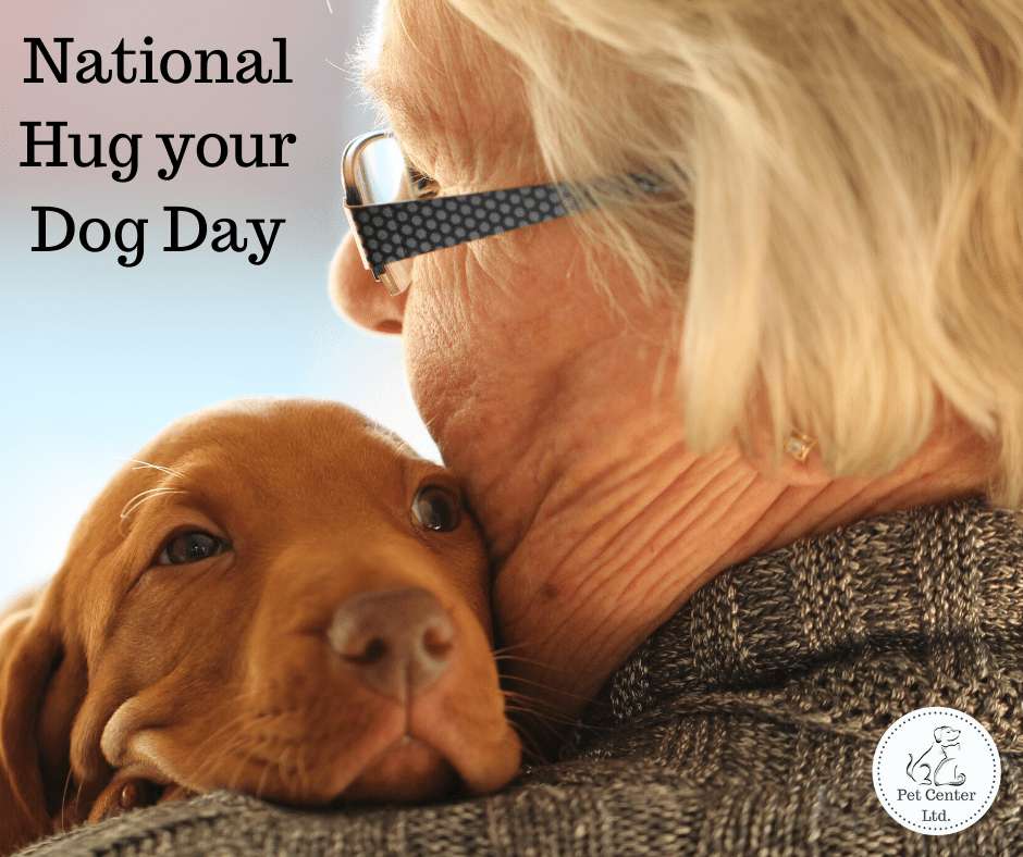 National Hug Your Dog Day Wishes pics free download