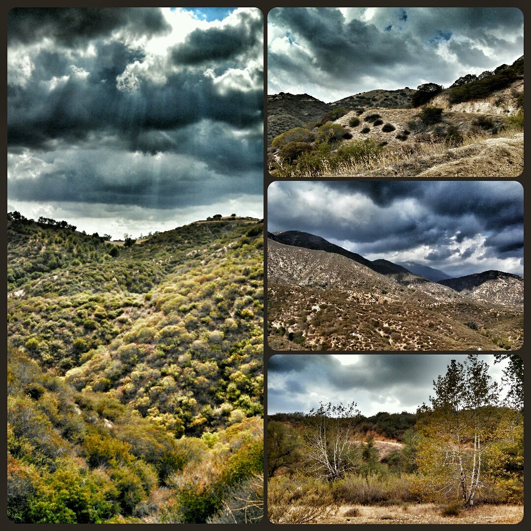 Run Like A Coyote San Dimas 5K