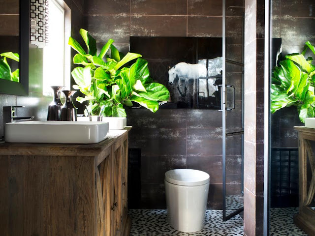 Bathroom%2Bindoor%2Bplant%2Bdesigns%2B%252823%2529