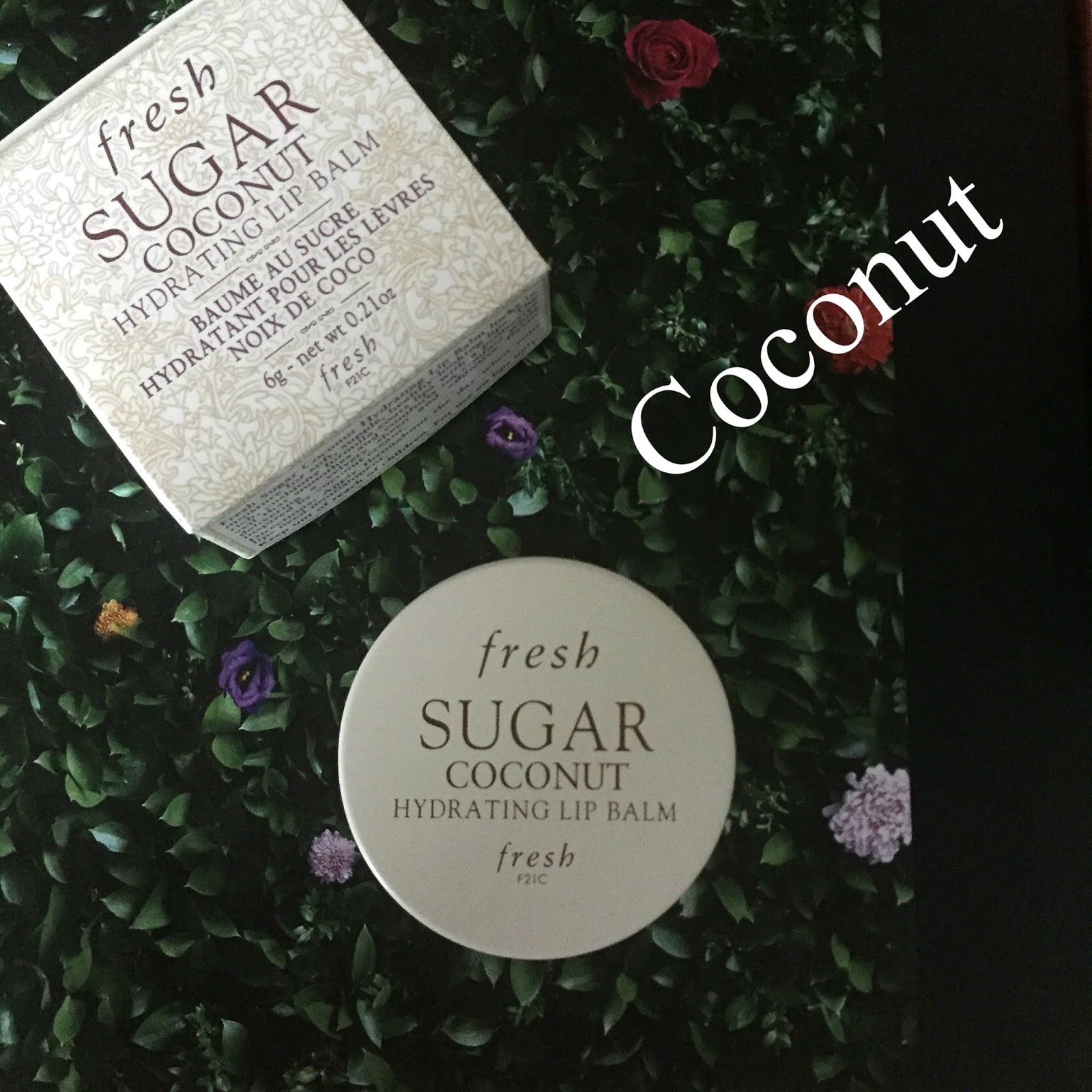 Fresh Sugar Hydrating Lip Balms in Coconut, Lemon, Peach & Chocolate