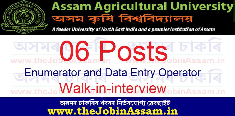 College of Agriculture, AAU Recruitment 2021: Apply for 06 Enumerator and Data Entry Operator Posts