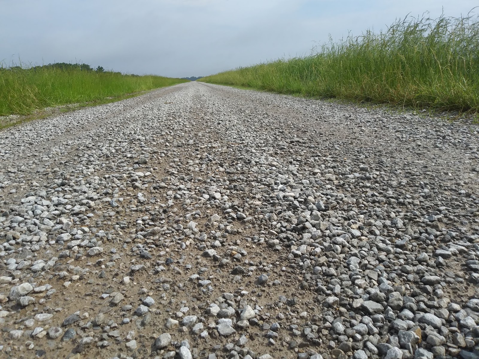 I'd Rather Be Cycling Day 9 5/29/19 Tamaroa, IL to New Douglas, IL