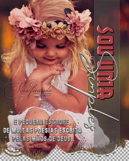 sueli7.gif
