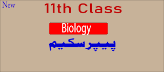 11th class pairing scheme biology