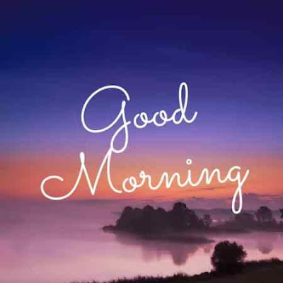 Beautiful Good Morning Wallpaper Images for WhatsApp DP