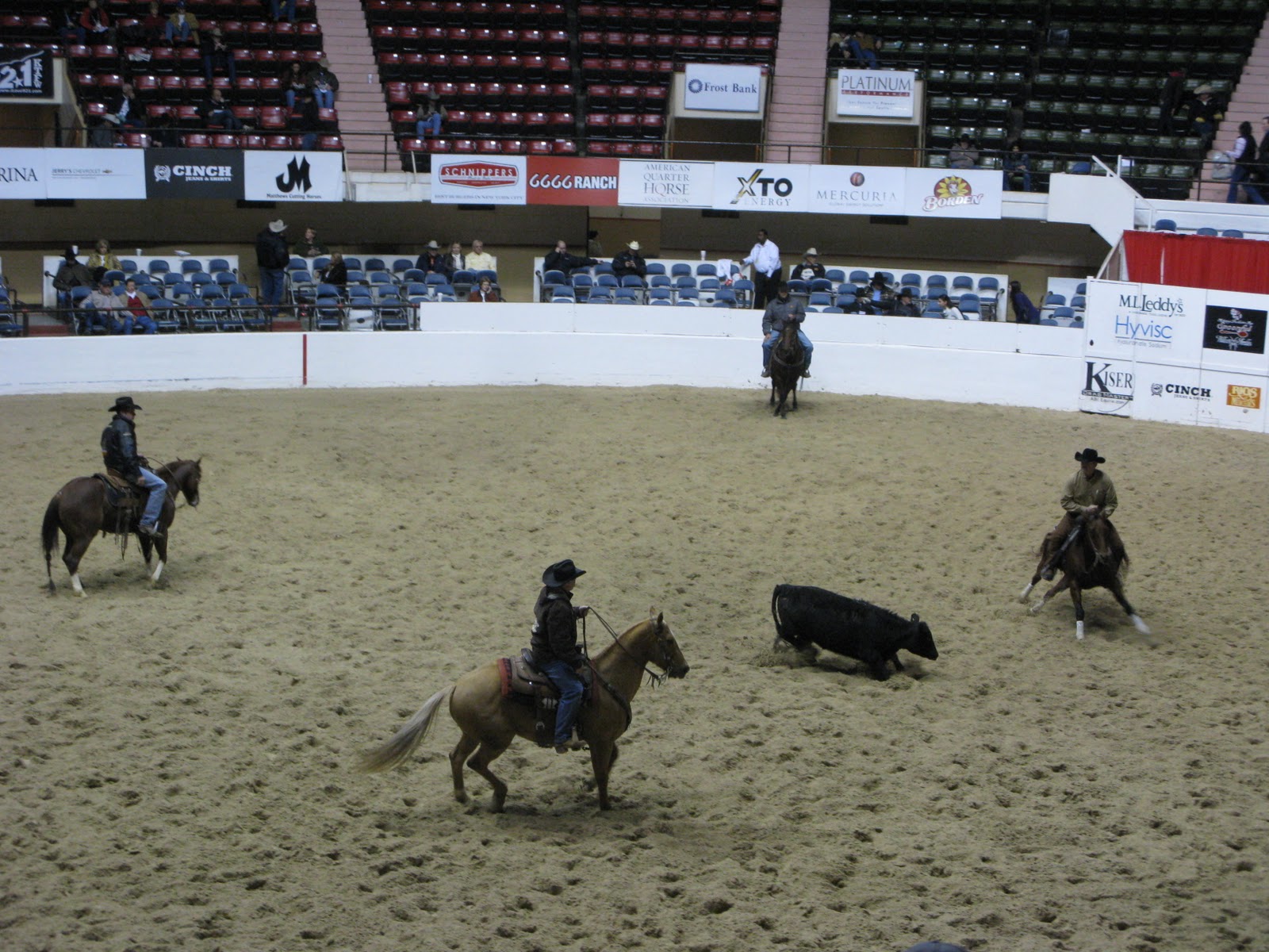 Meandering... NCHA Futurity in Fort Worth