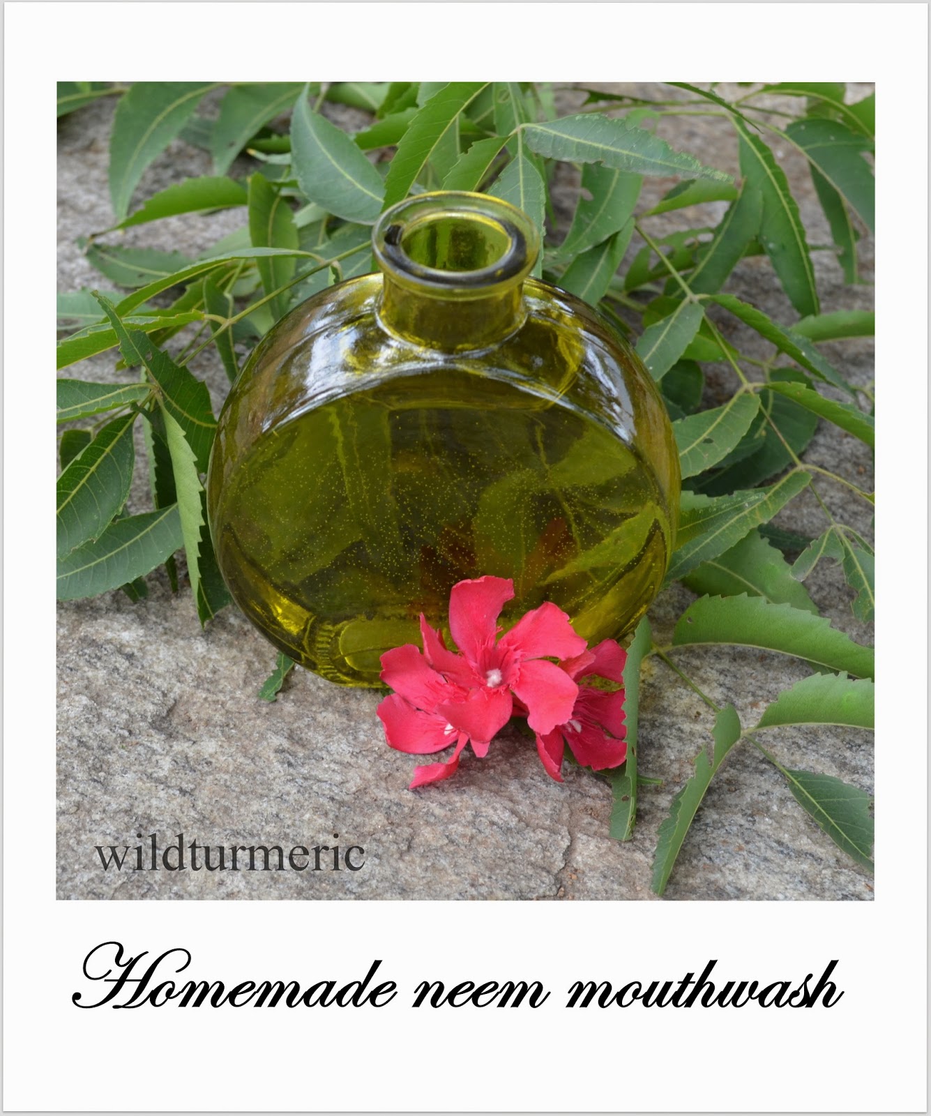 Dental Care Archives Wildturmeric