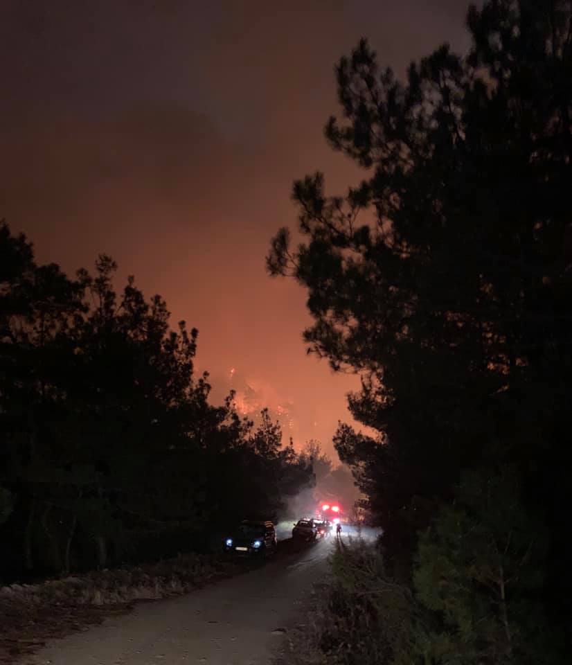 Έβρος: Ολονύχτια μάχη με τις φλόγες - Κινδυνεύει το δάσος της Δαδιάς