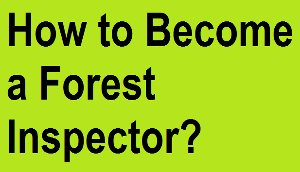 How to Become a Forest Inspector How to Become a Forest Inspector