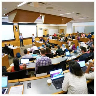 Los programas de MBA de UC-Berkeley Haas están designados por STEM 