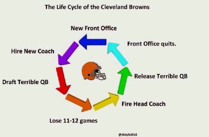 Image result for the browns stink