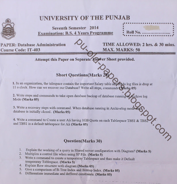 Database administrators essay 03 image