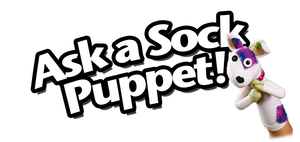 Ask A Sock Puppet!