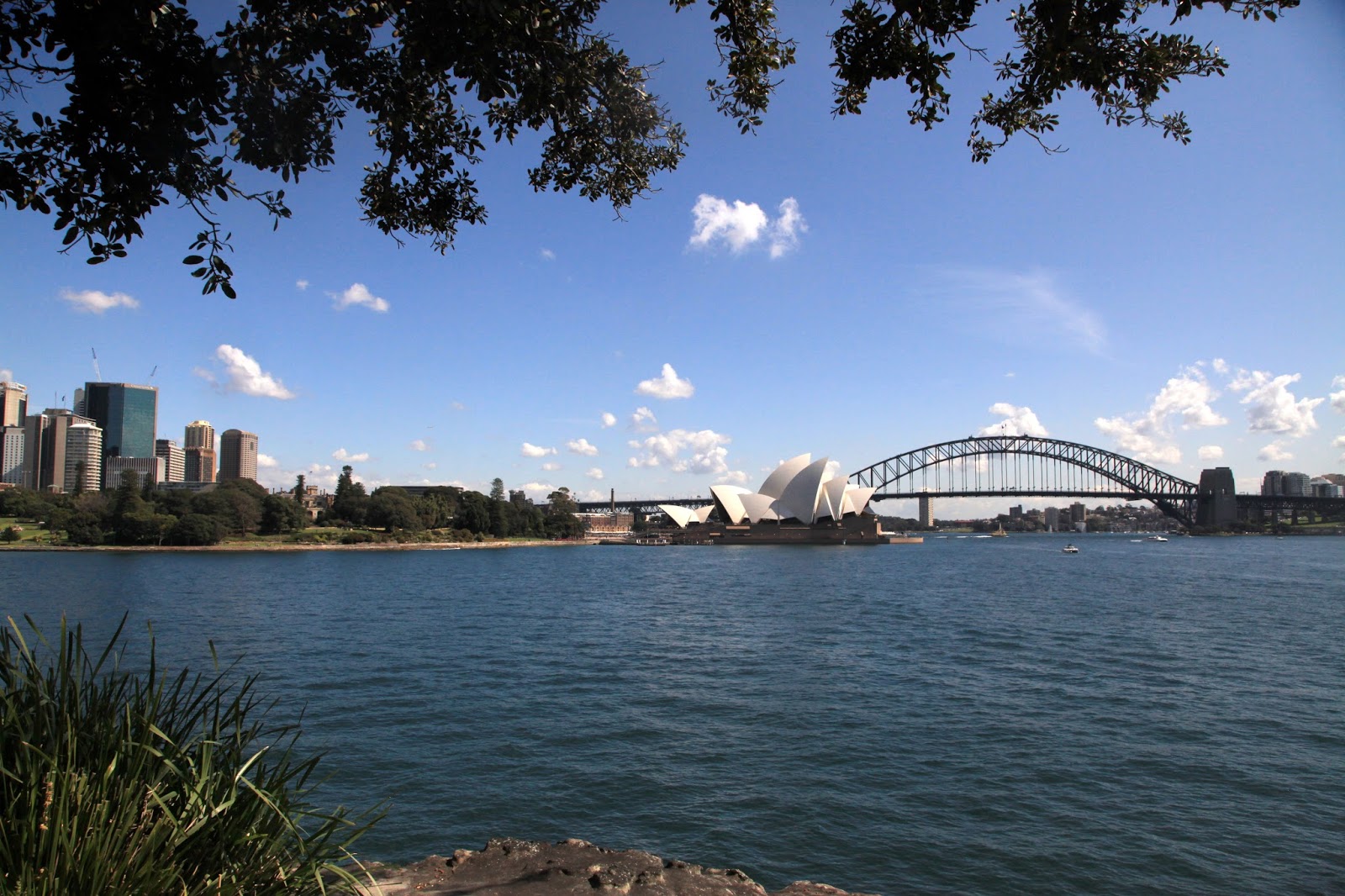 Thru my Sydney Eye: Mrs Macquarie's View