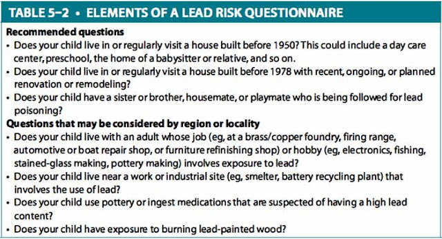 elements of a lead risk questionnaire