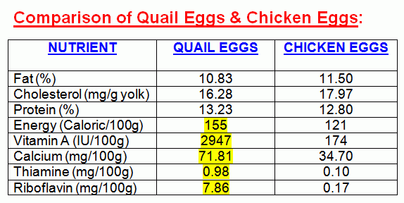 Raghu's column!: Delicious & Nutritious! Quail Meat & Eggs.