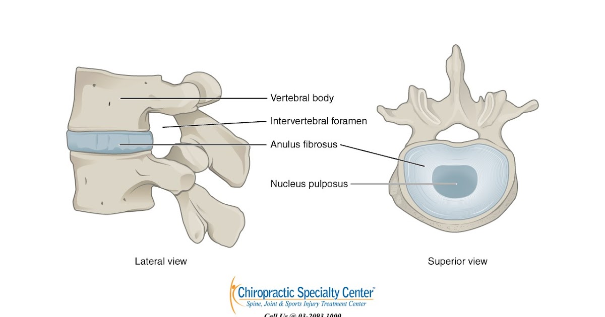 Spinal Disc Treatment and Chiropractic in Malaysia