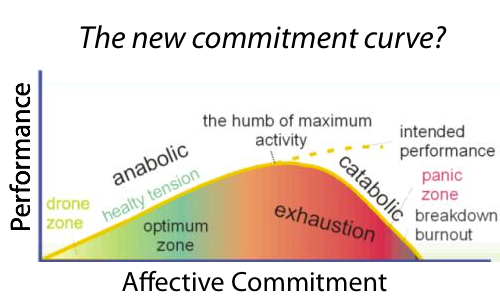 More Commitment isn't Always Better : Change Management Success