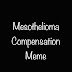 Mesothelioma Compensation Meme