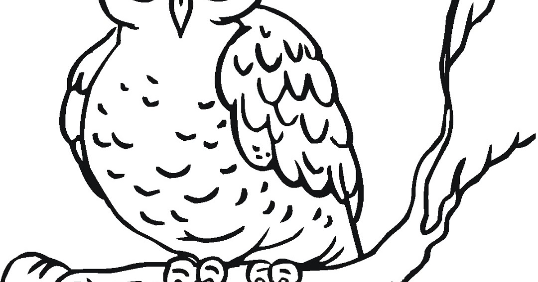 Siap Cetak Gambar Burung Hantu Untuk Mewarnai Halaman Mewarnai Anak