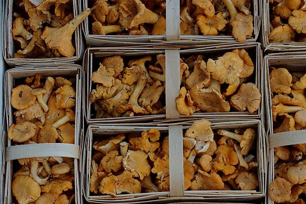 Jamur Jamur - 9 Sayuran Yang Membantu Dalam Diet Anda Untuk Membakar Lemak Perut