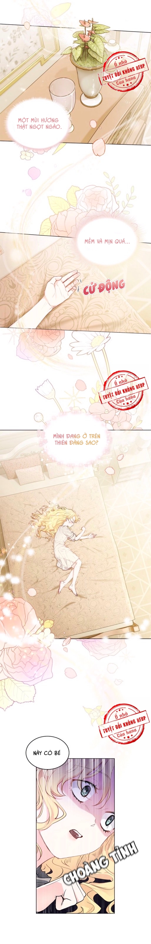 Tìm Nàng Camellia - Chapter 2 - Lkdtt
