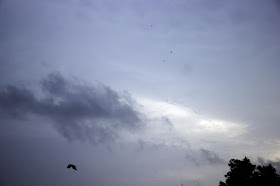 skywatch, monsoon, clouds, birds, bandra east, mumbai, india, evening, 