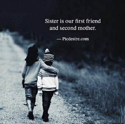 30+ Brother Sister Quotes to Share their Love