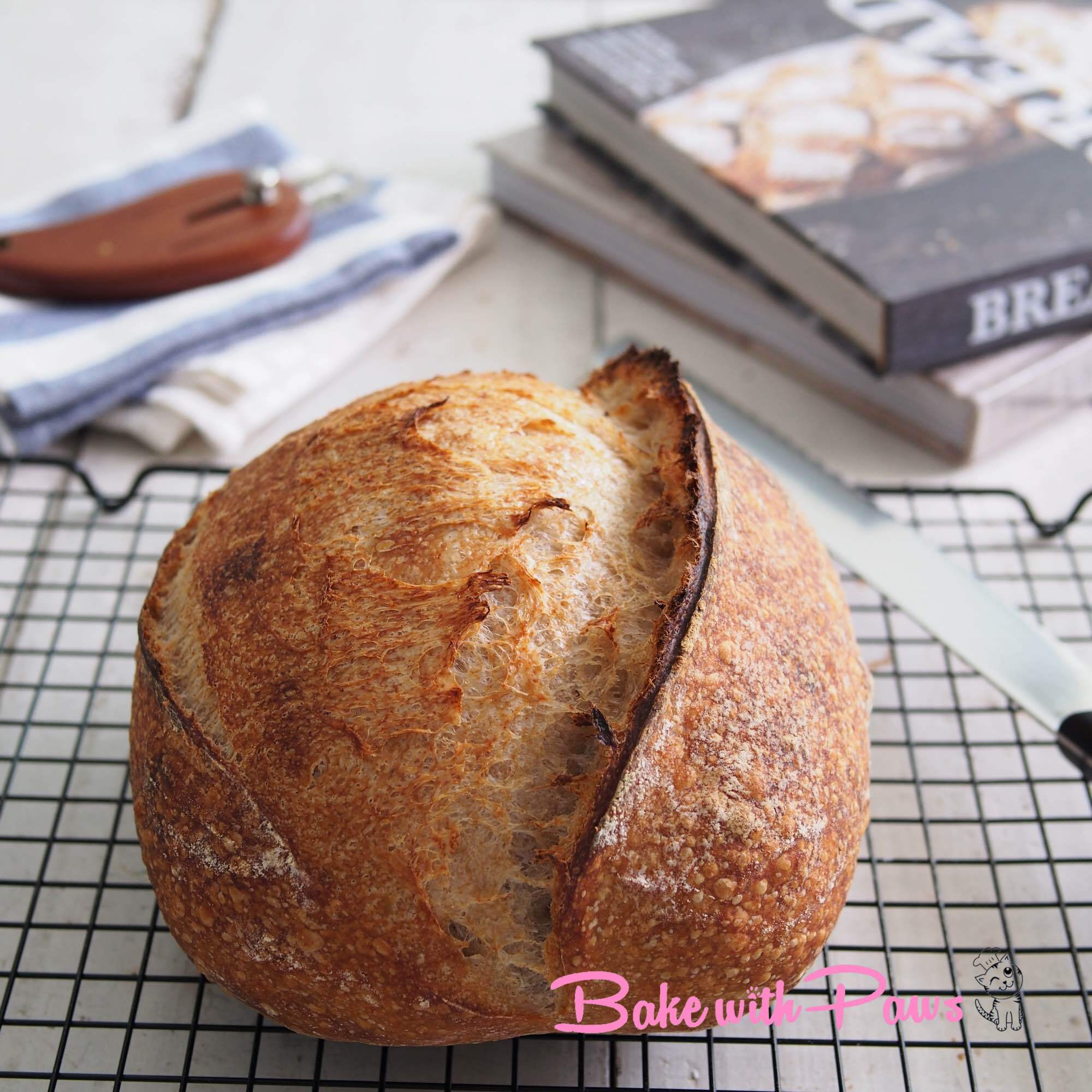 Basic Open Crumb Sourdough Bread (High Hydration) BAKE WITH PAWS