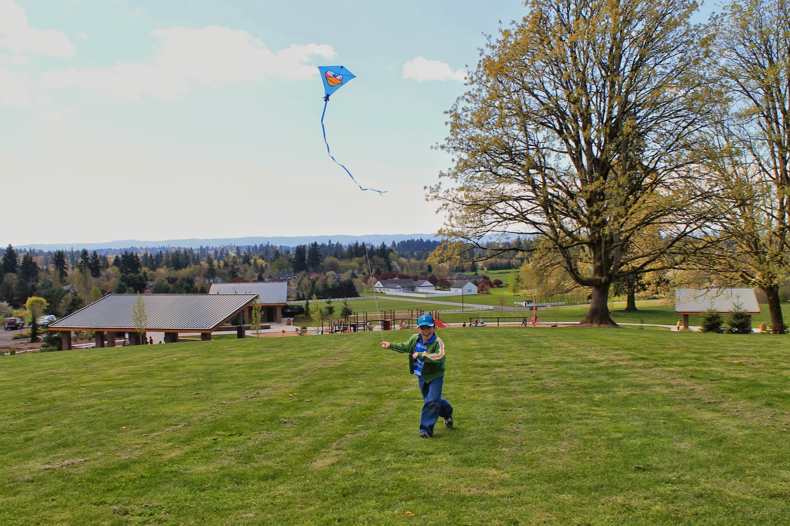Life in Vancouver Let's Go Fly a Kite, Up to the Highest Heights