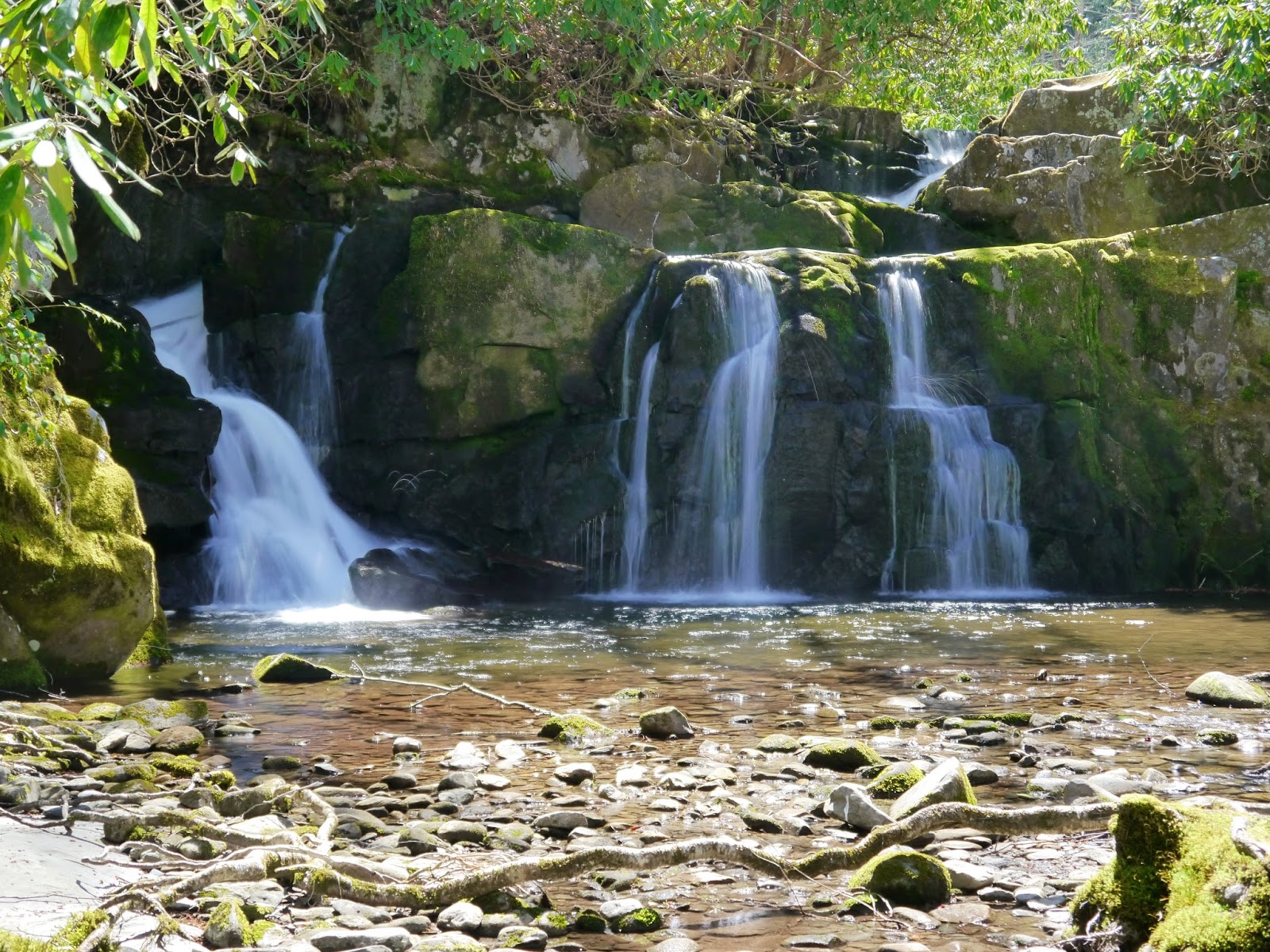 American Travel Journal Indian Flats Falls & Middle Prong Trail