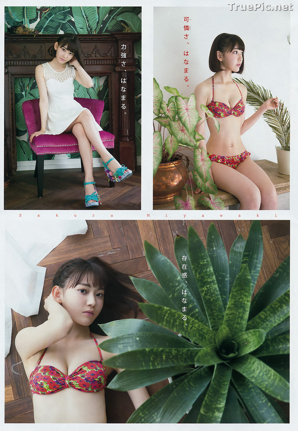 Image Japanese Singer and Actress - Sakura Miyawaki (宮脇咲良) - Sexy Picture Collection 2021 - TruePic.net - Picture-31