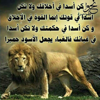 cbb4adbdbb8902d177af18f8164ff3aa