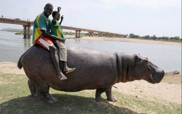 Picdump-Ritemail-015.jpg