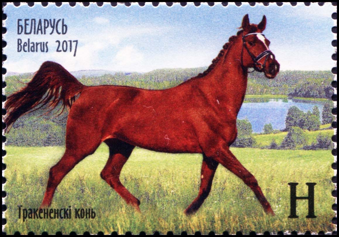 Лошадка марка. Лошади на почтовых марках. Почтовая марка конь. Марка России с лошадью.