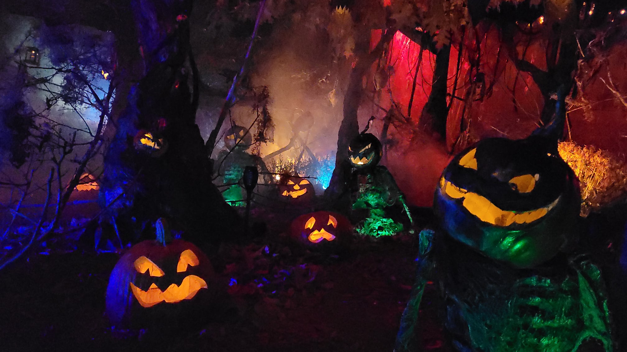 The Blog Darkrose Manor 2021