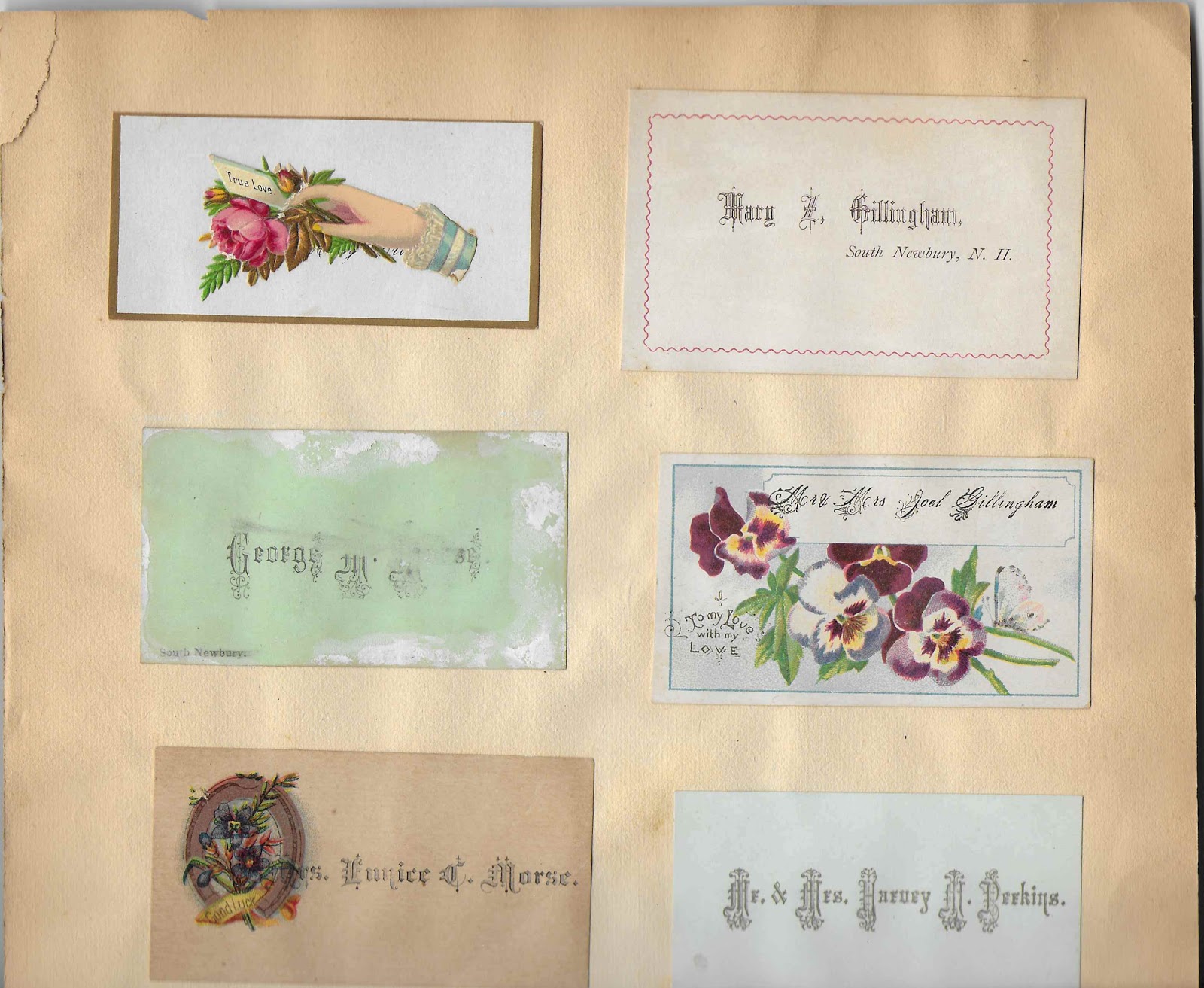 Heirlooms Reunited Late 19th Century Calling Cards Album that