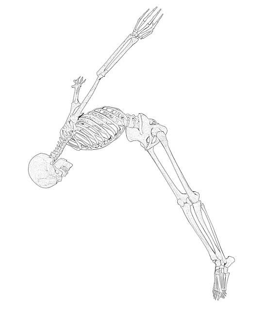 Coloring Pages: Skeleton Free Printable Coloring Pages