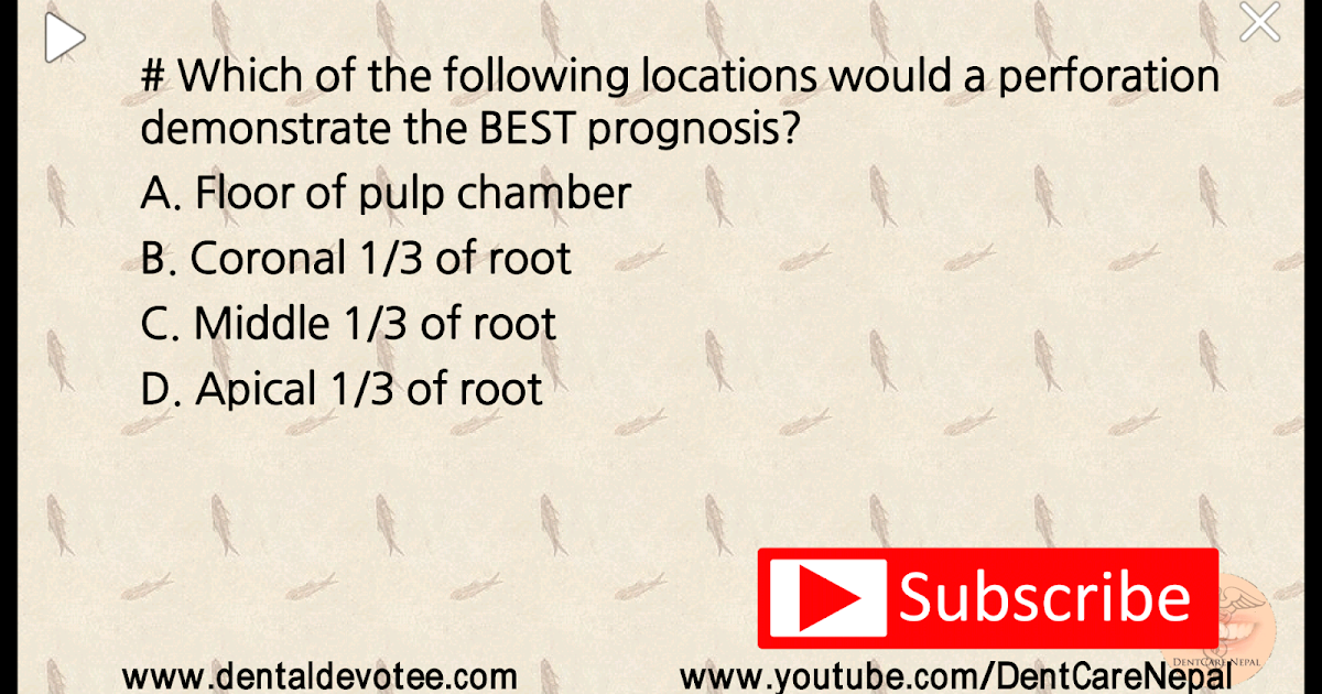 Dentosphere World of Dentistry Dental treatment Endodontic perforation