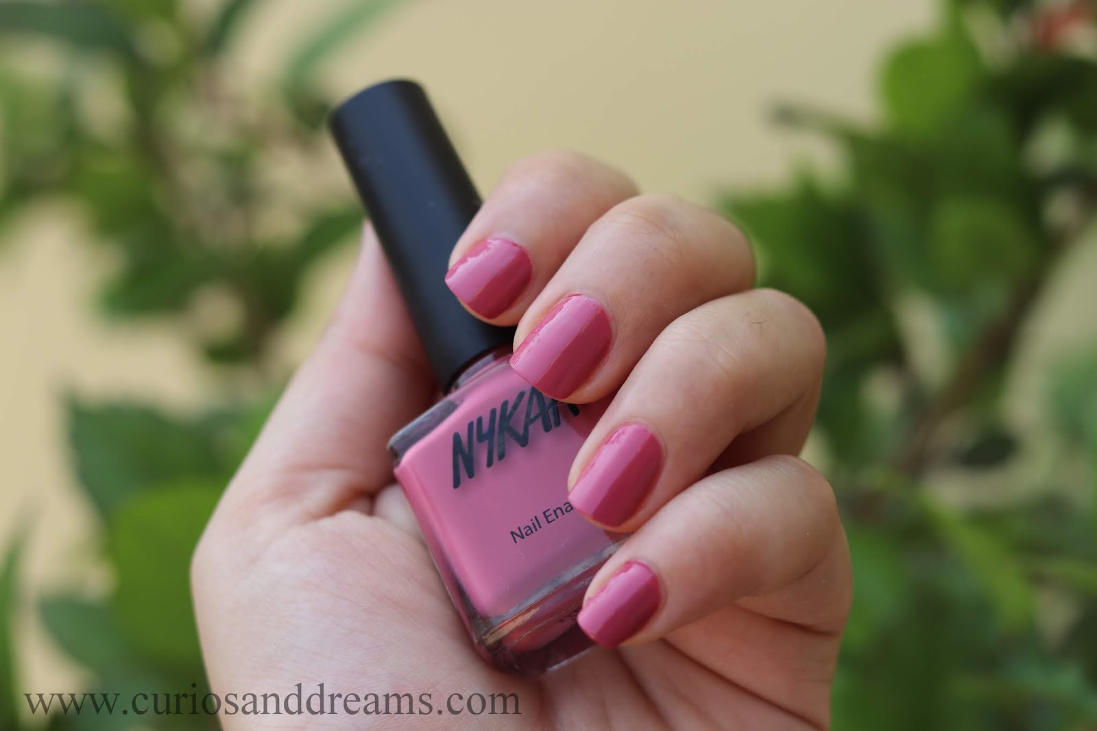 All Nykaa Nail Polishes In My Stash Swatch Fest! Curios and Dreams