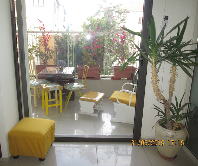 IMG 0110 - גינה בבית