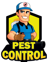Pest Control Service In Lucknow