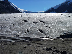 Icefield Parkway