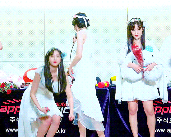 082505.gif
