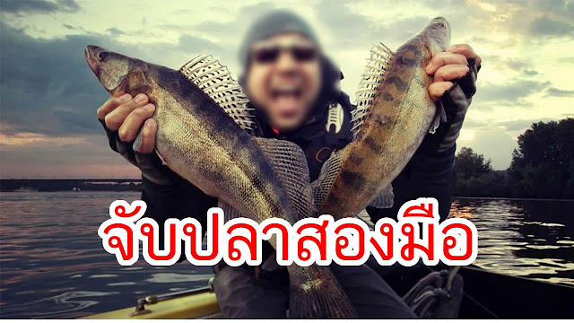จับปลาสองมือ หมายถึงอะไร ? - Blogsdit จับปลาสองมือ หมายถึงอะไร ? - Blogsdit
