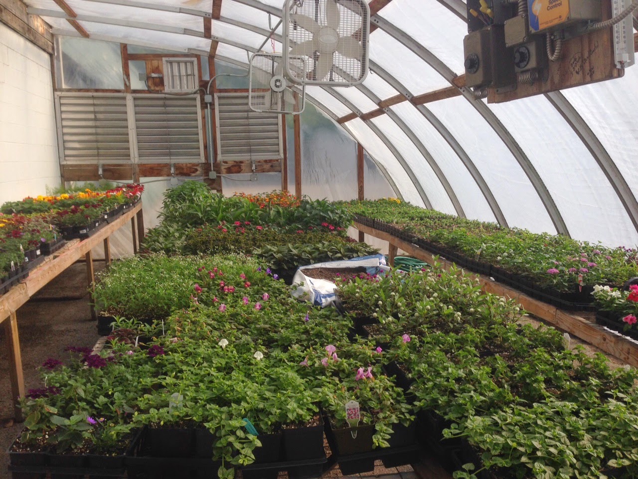 Glen Echo Country Club Golf Course Management Greenhouse Plant Sale