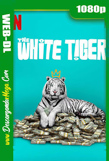  Tigre blanco (2021)