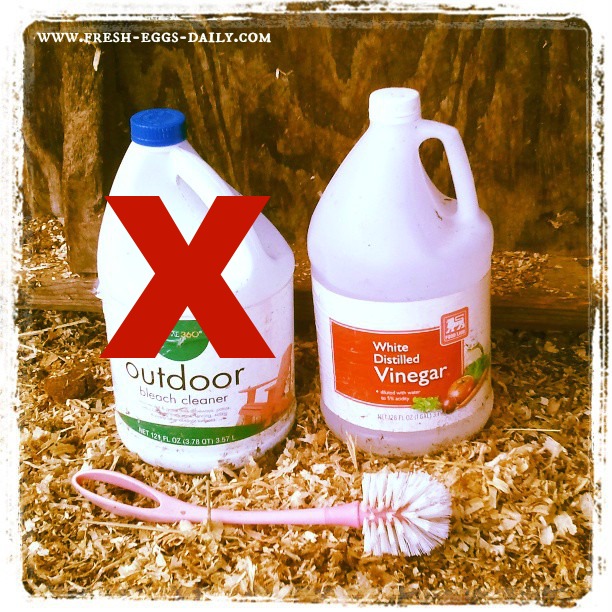 Natural Chicken Coop Cleaning 123 Fresh Eggs Daily®
