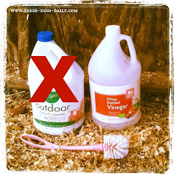 chicken coop cleaning natural eggs daily fresh clean bleach cleaners dirty fresheggsdaily chickens coops vinegar organic supplies use
