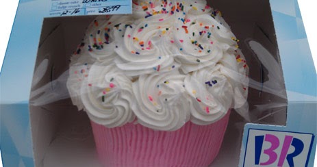 On Second Scoop Ice Cream Reviews Baskin Robbins Too Cute Cupcake Cake